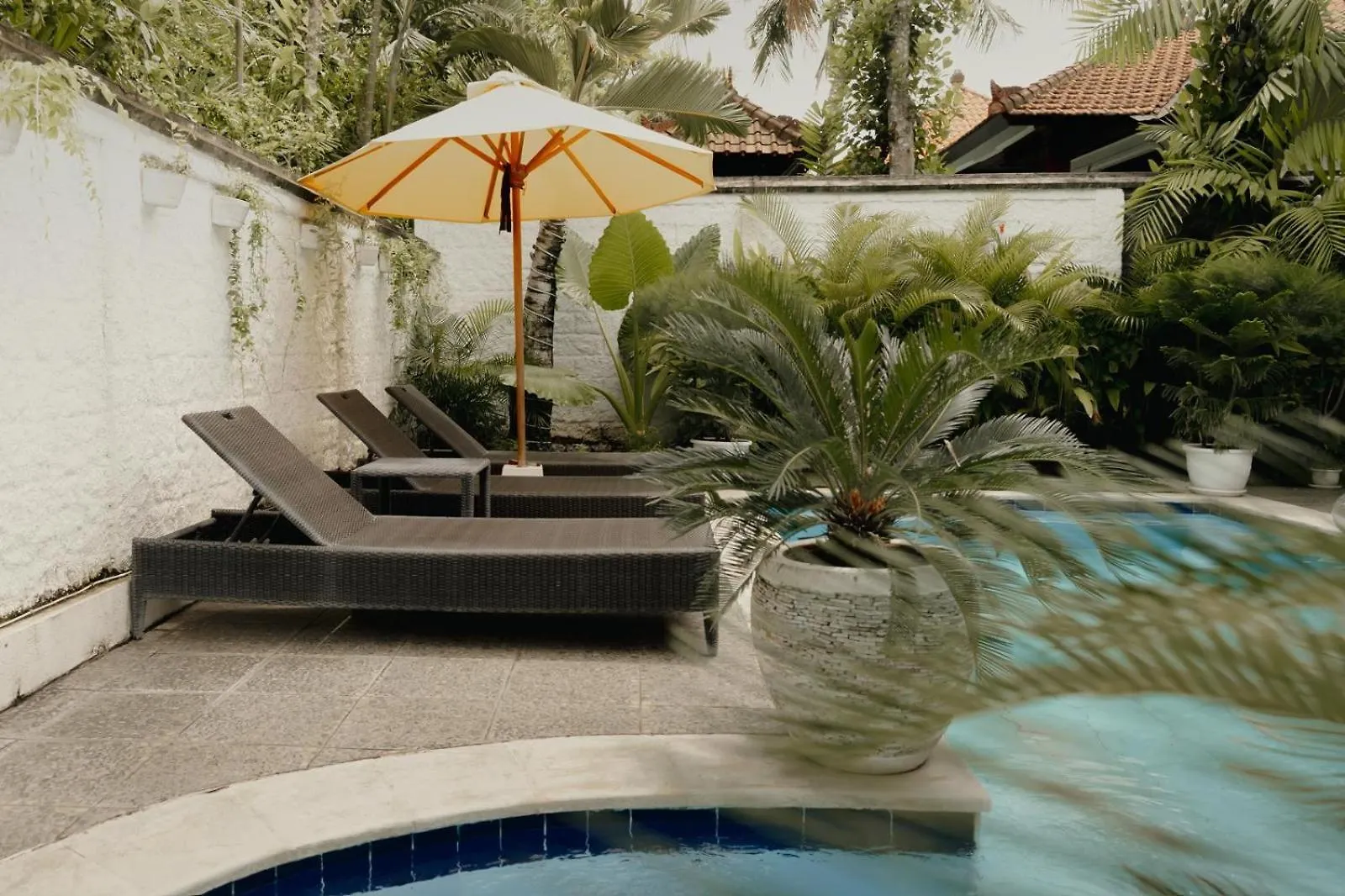 Villa Tao Seminyak